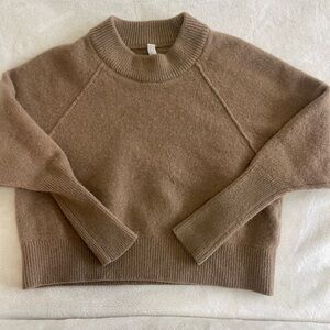 Babaton Crewneck Sweater in Taupe Brown